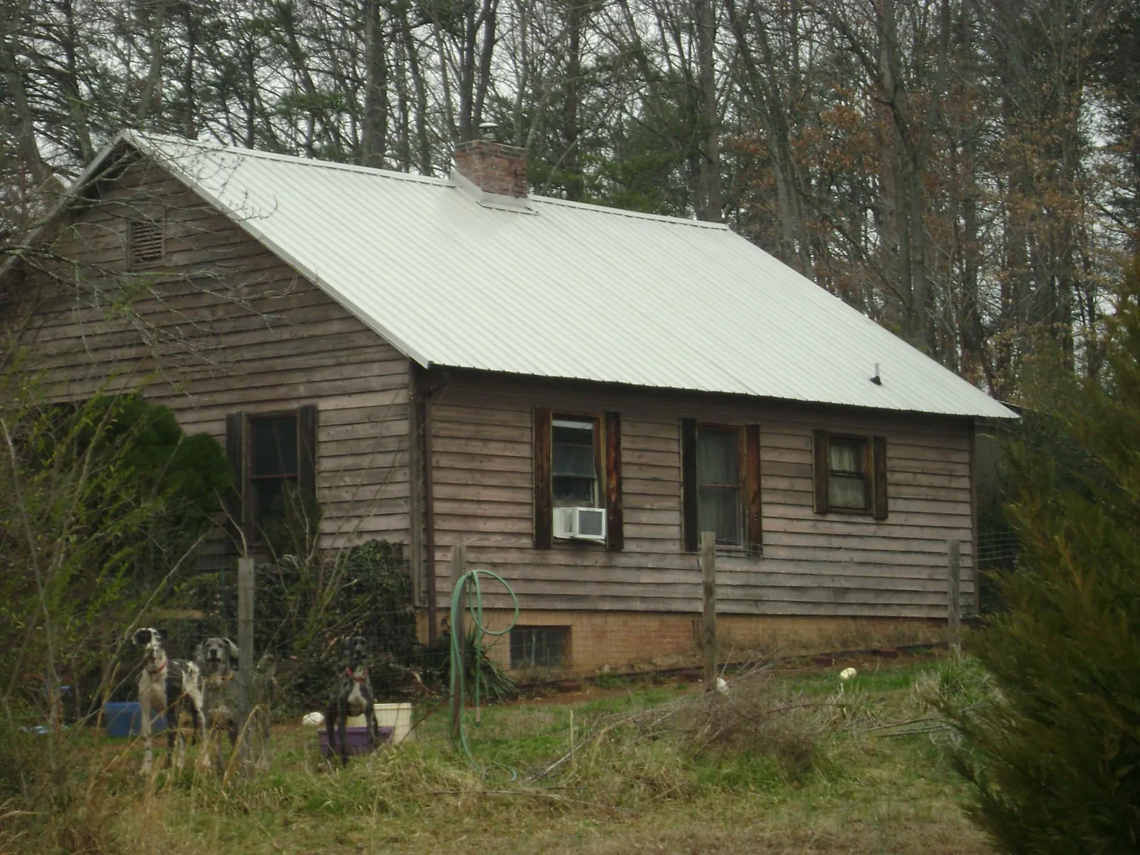 White metal roof on an old wood sided farmhouse, from a Asphalt Shingle Roof Repair job in Rowlesburg